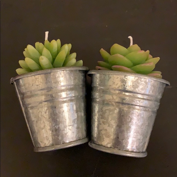 ***SOLD***Pottery Barn succulent candle set - Picture 4 of 4